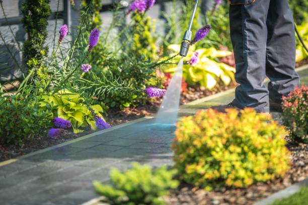 Best Gutter Cleaning and Brightening in Bel Air South, MD